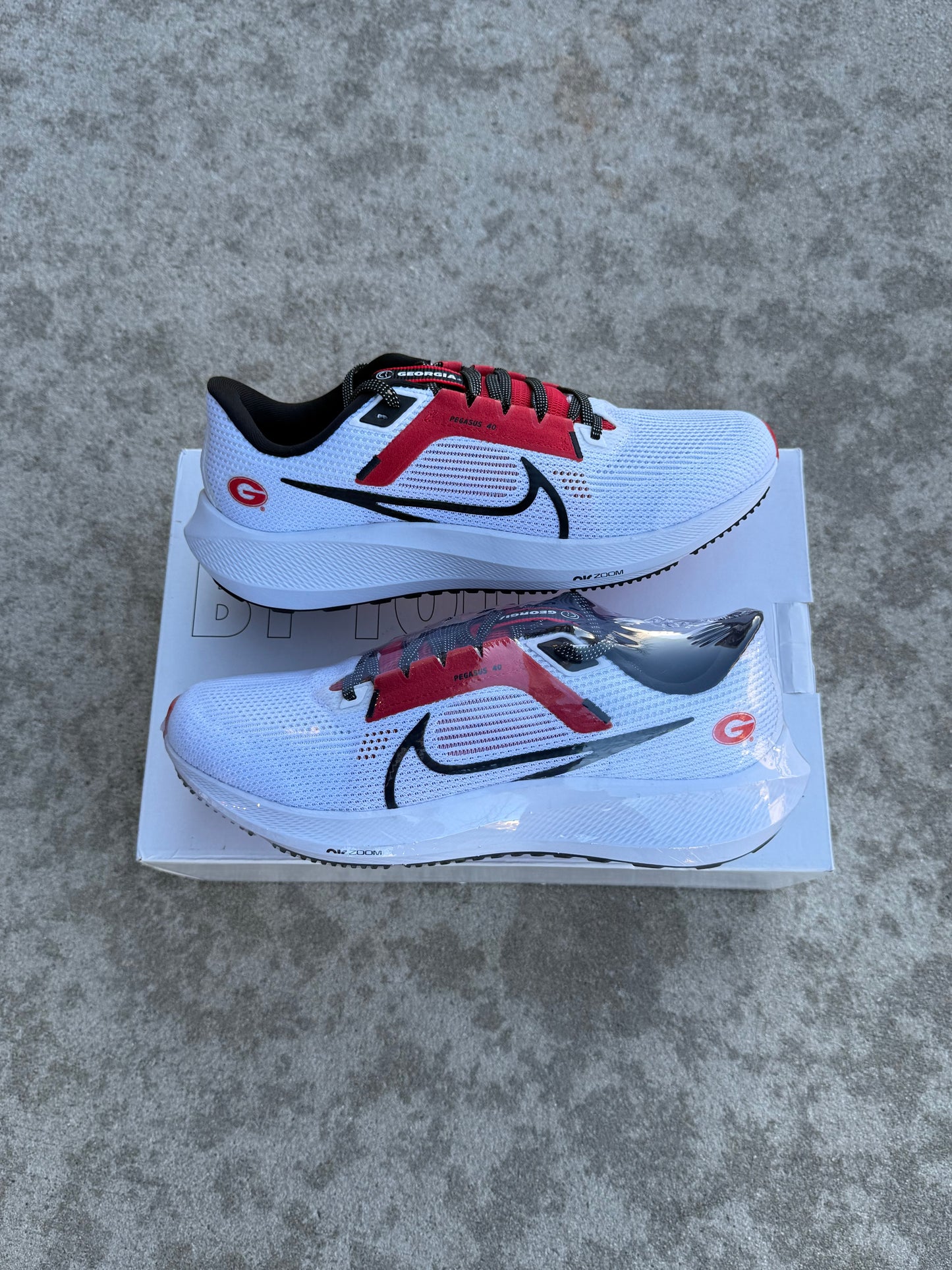 Nike Pegasus UGA (10)