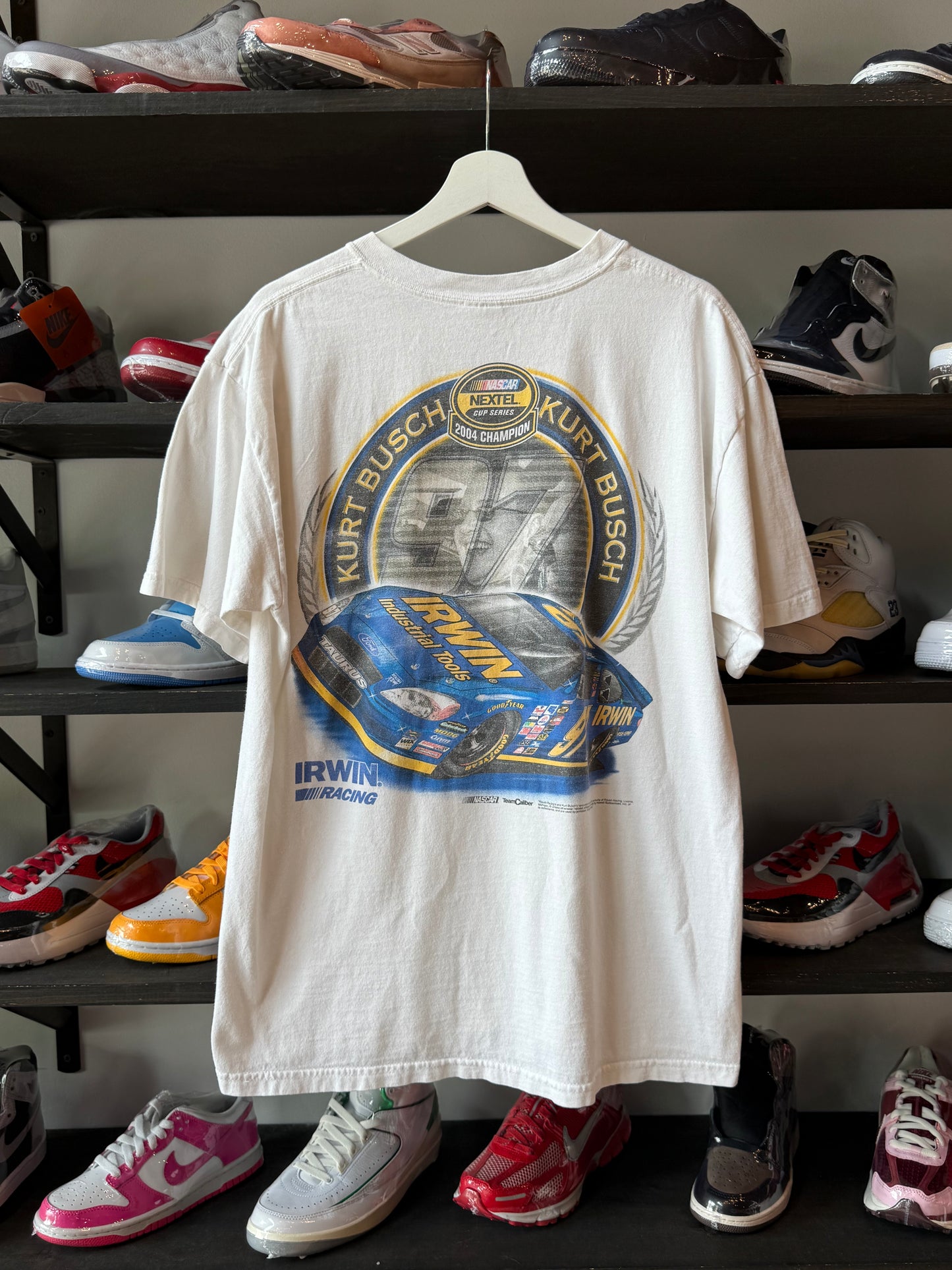 Vintage Full Circle x Breakaway Tee (L)