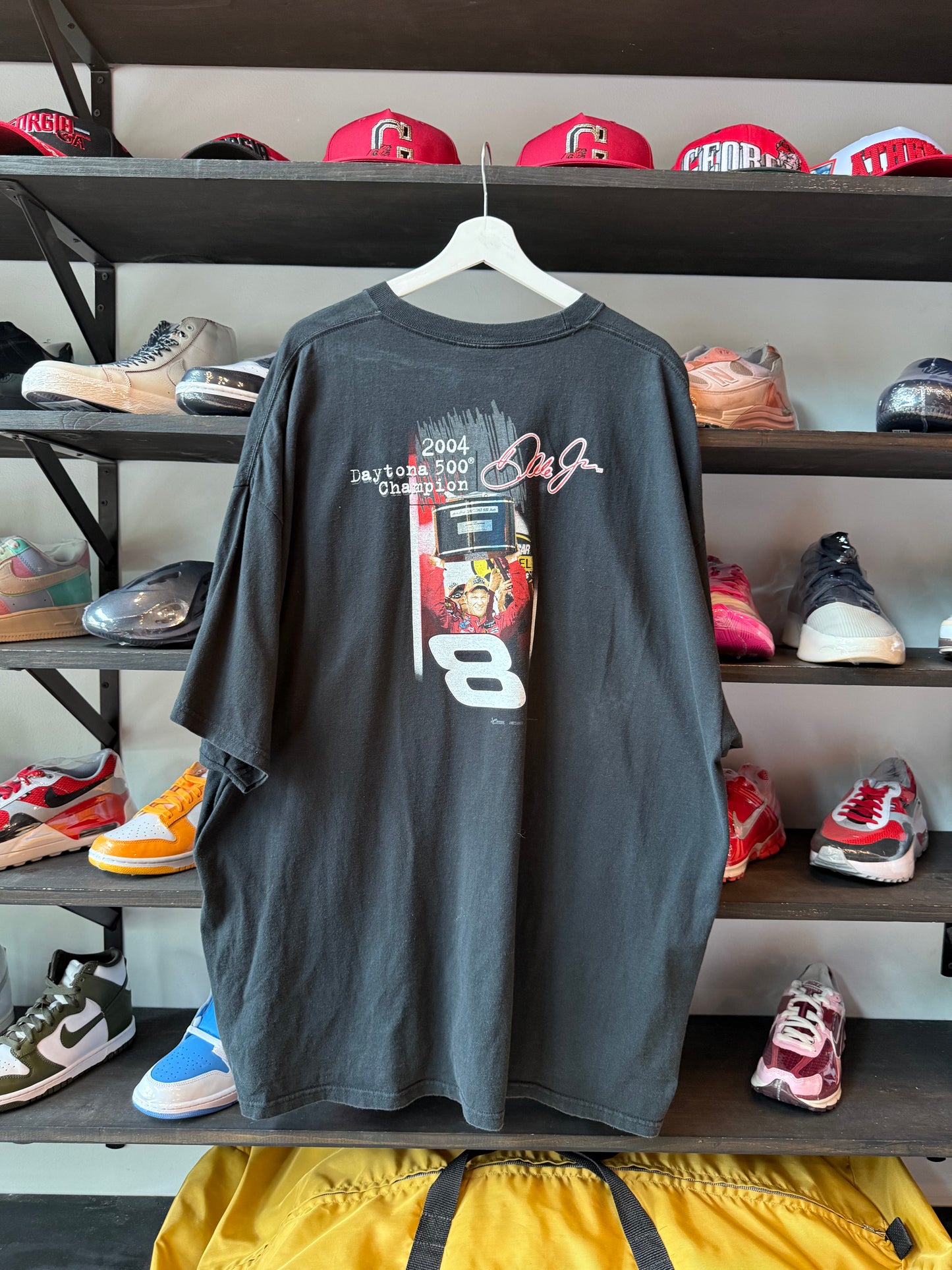 Vintage Dale Jr Tee (XXL)