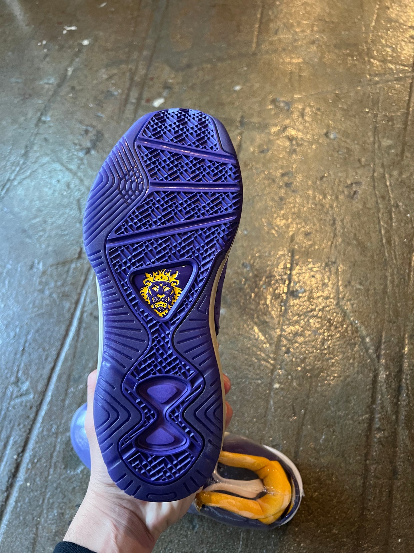 Lebron 8 Lakers (7)