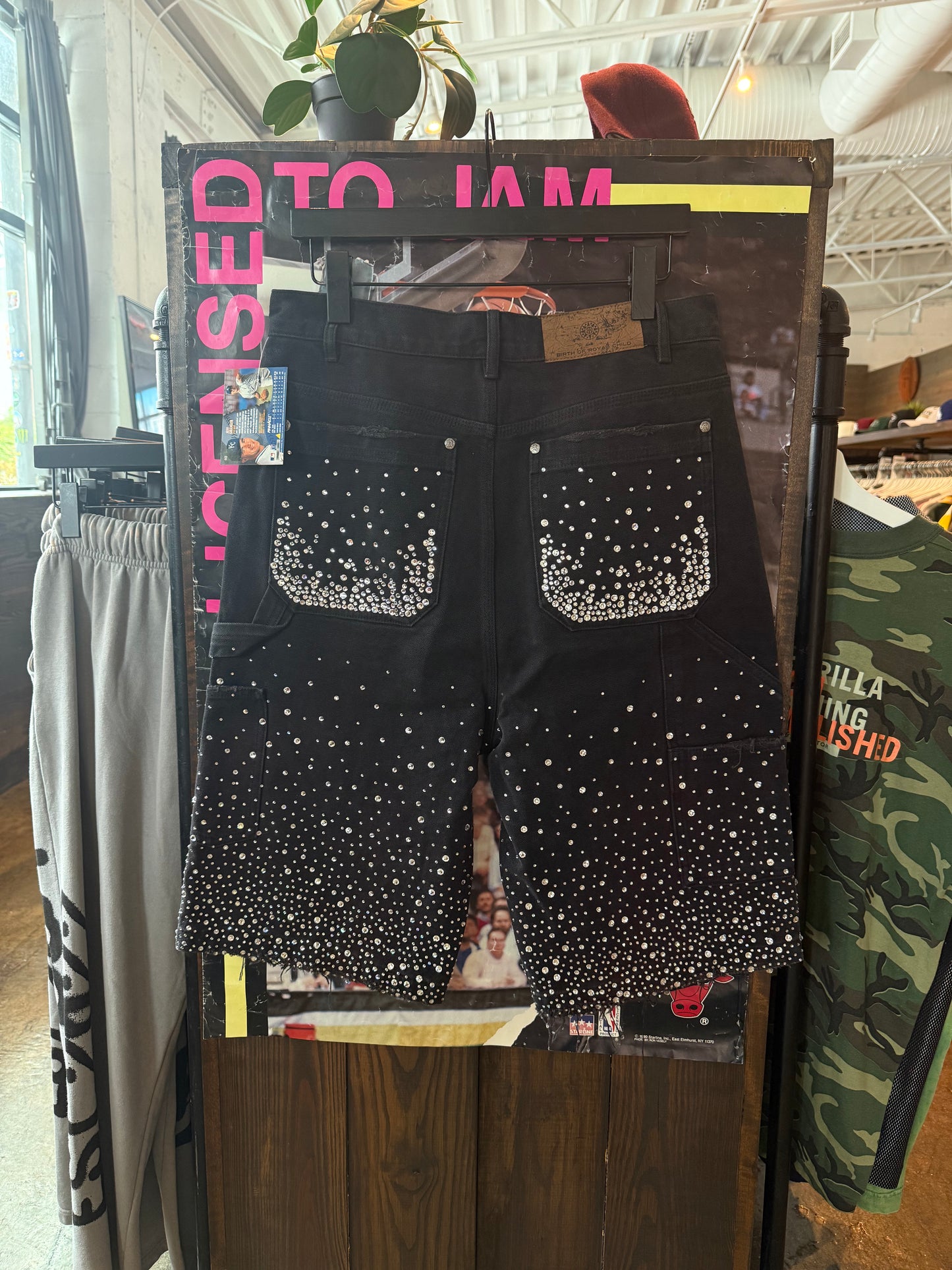 Birth of Royal Child Shorts (32)