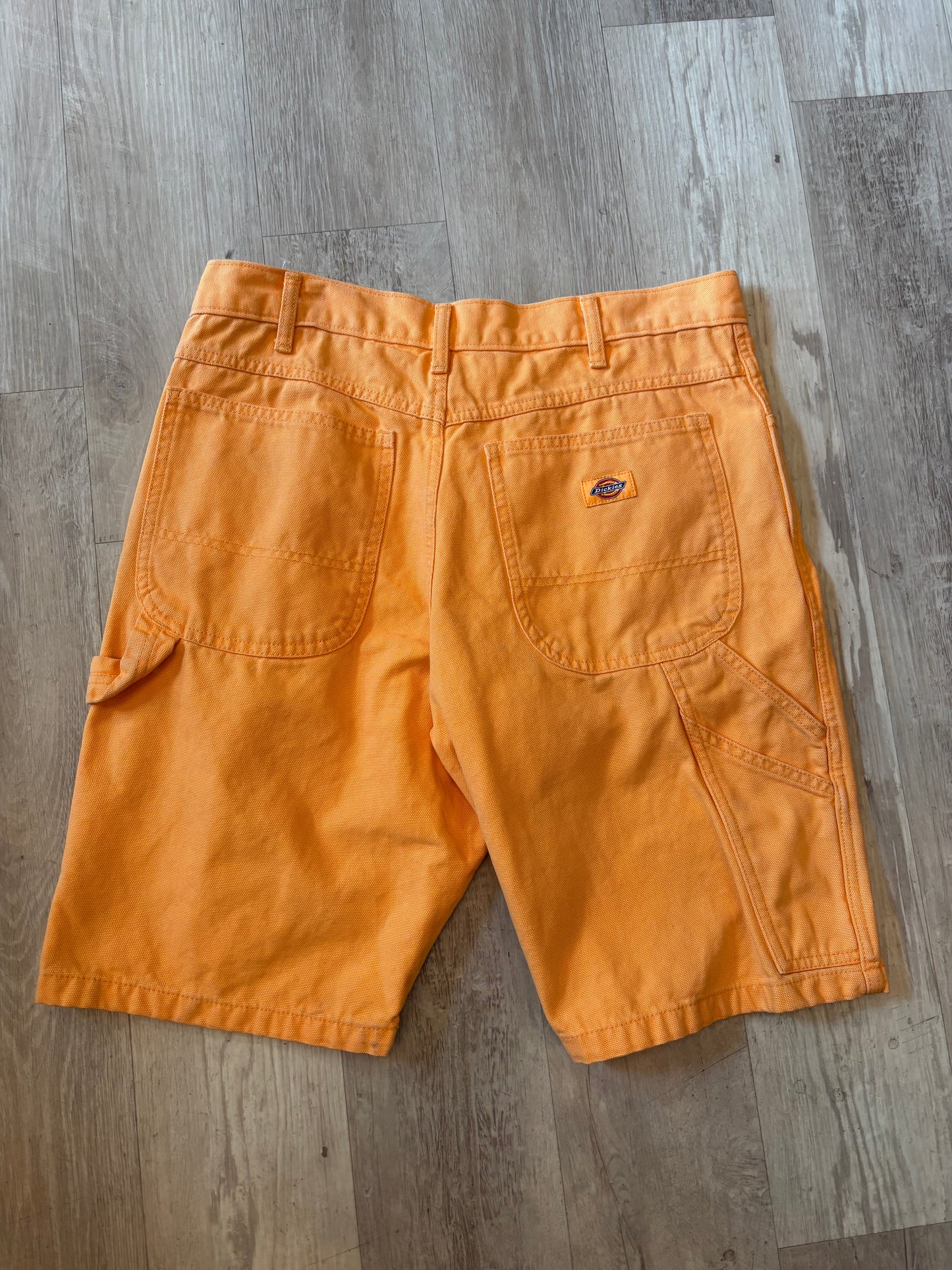 Dickies Shorts (34)