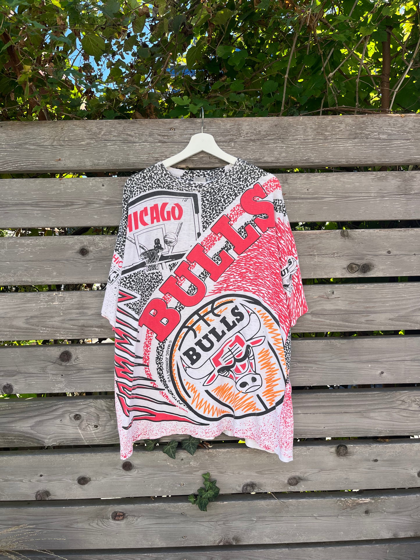 Vintage Bulls AOP (XL)