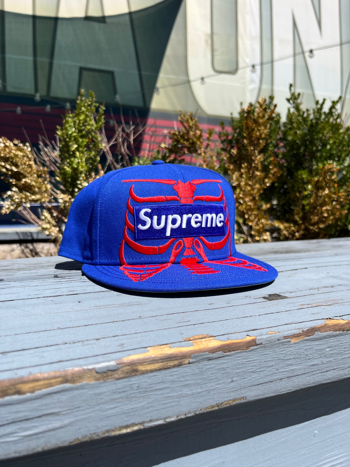 Supreme Bones Fitted (7 3/4)