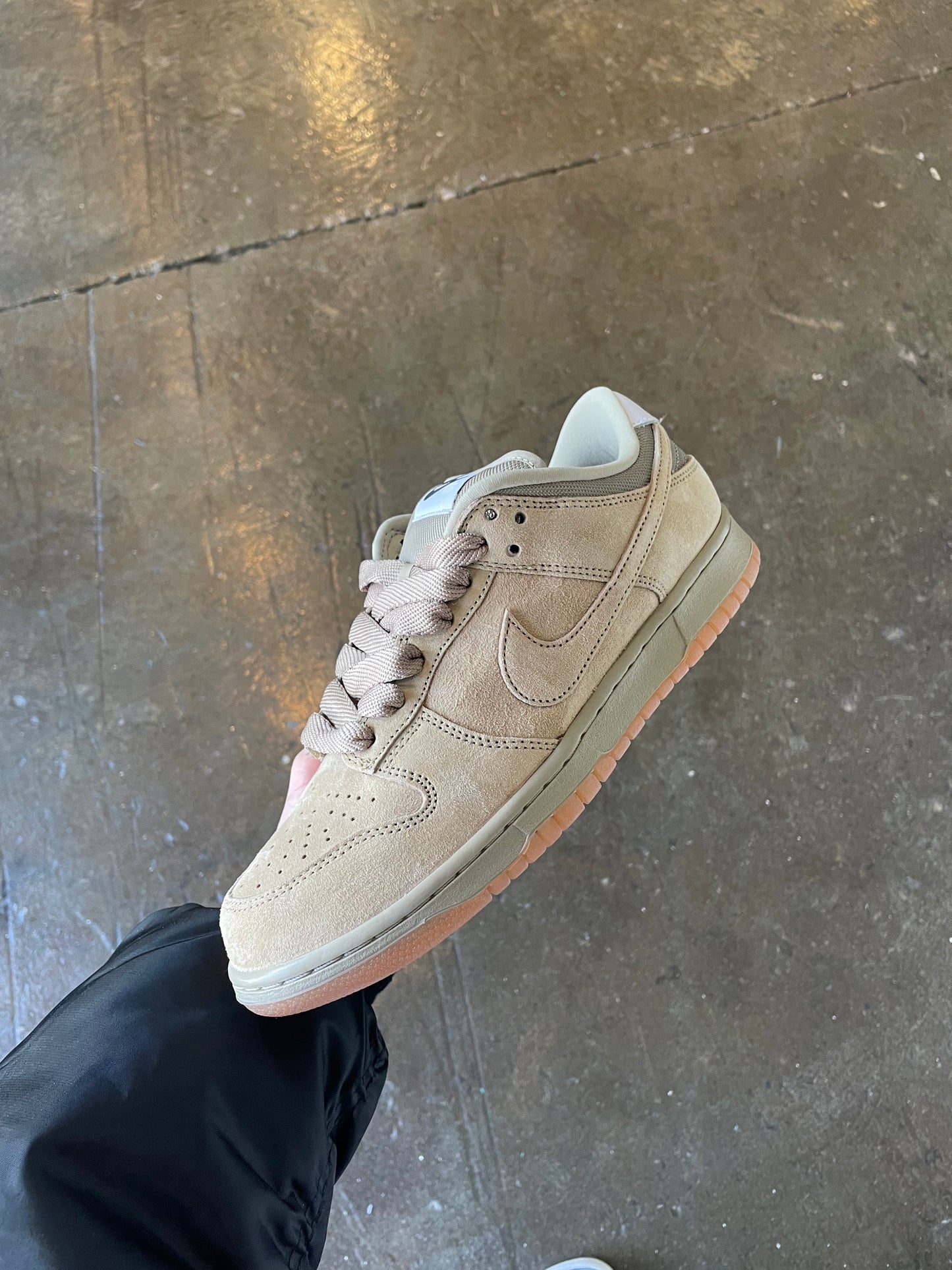 Nike Sb Dunk Low (9) Brand New
