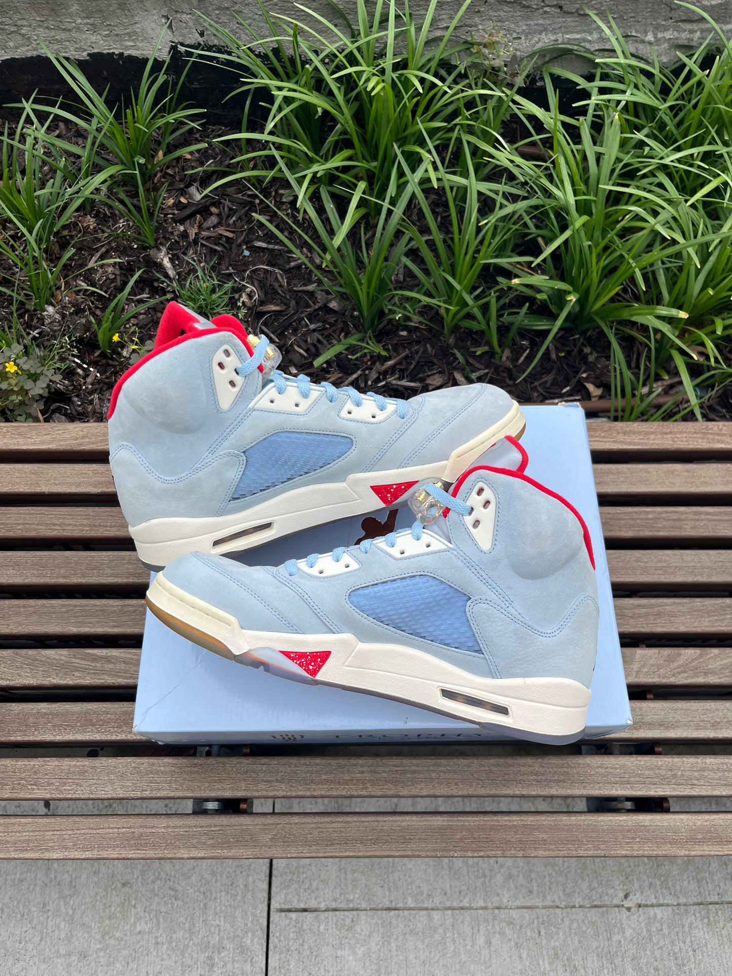 AJ5 Trophy Room (13)