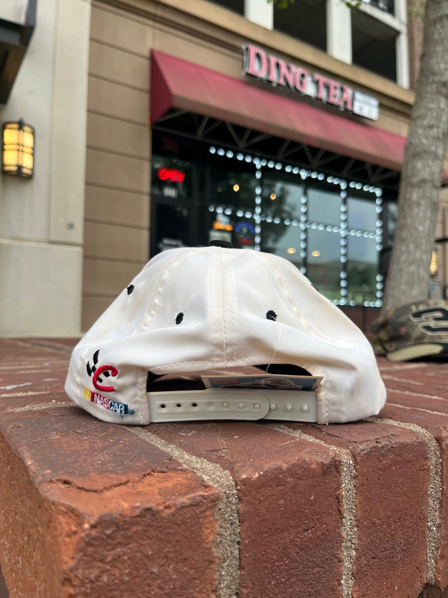 Vintage Dale Hat