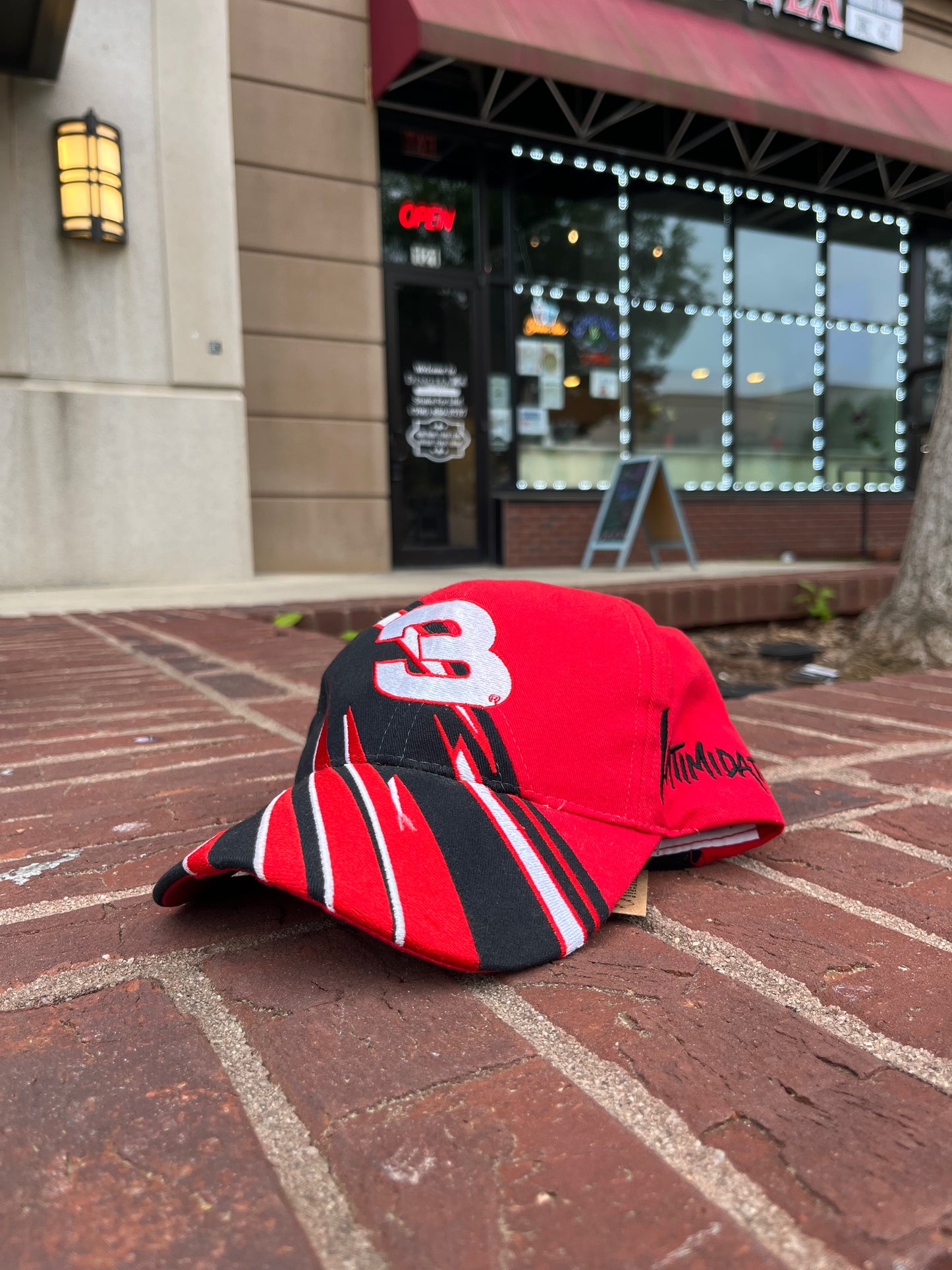 Vintage Dale Hat