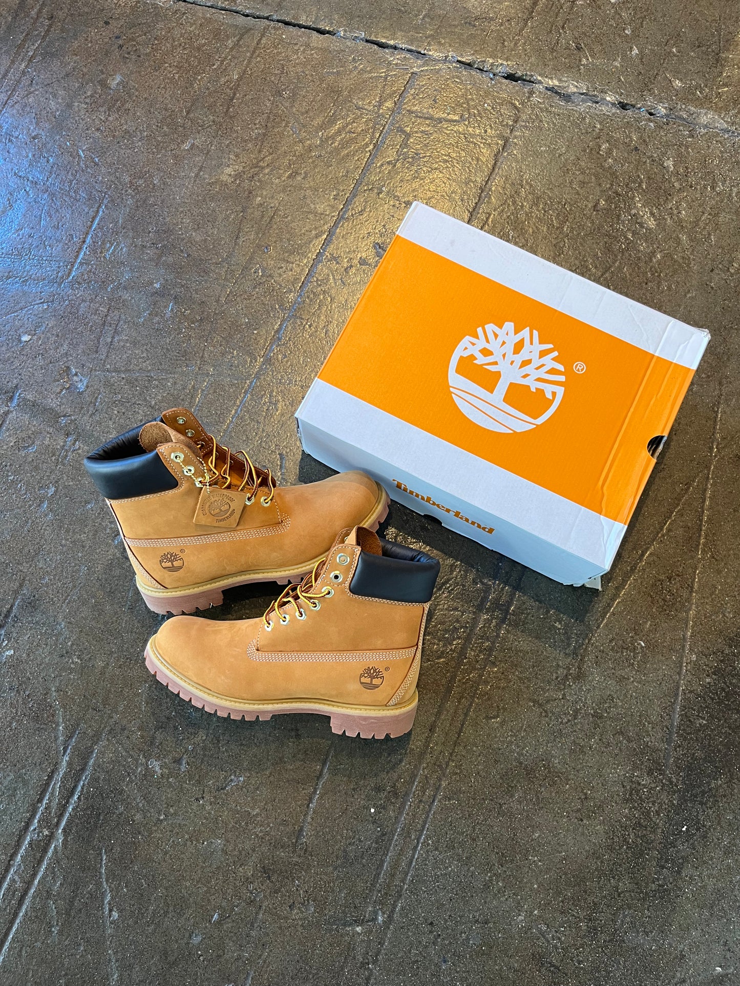 Timberland 6 Inch Boot (8.5)