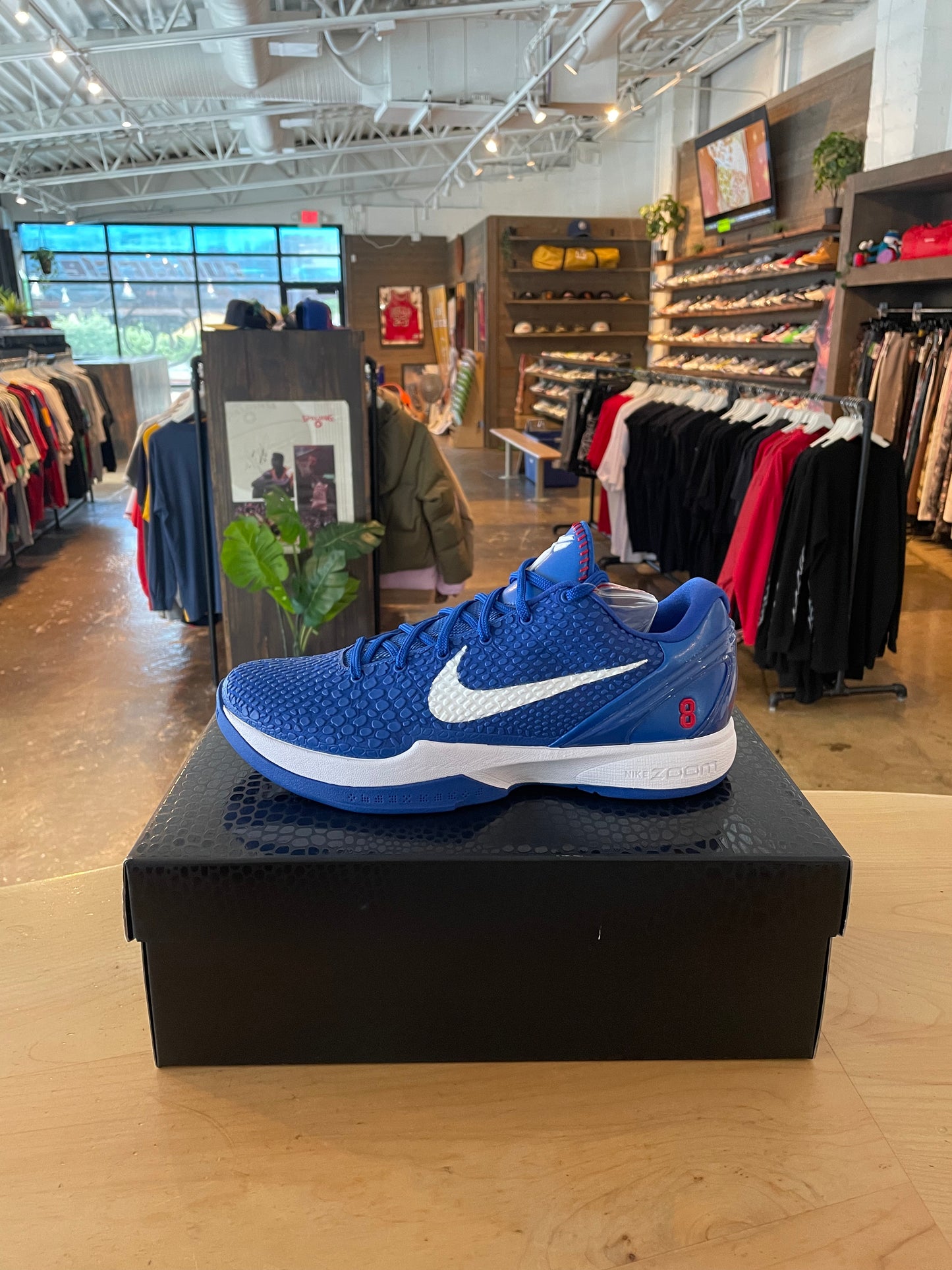 Kobe 6 Protro Dodgers (11) Brand New