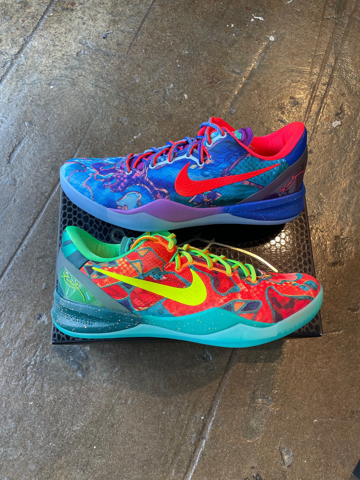 Kobe 8 What The (13) Brand New