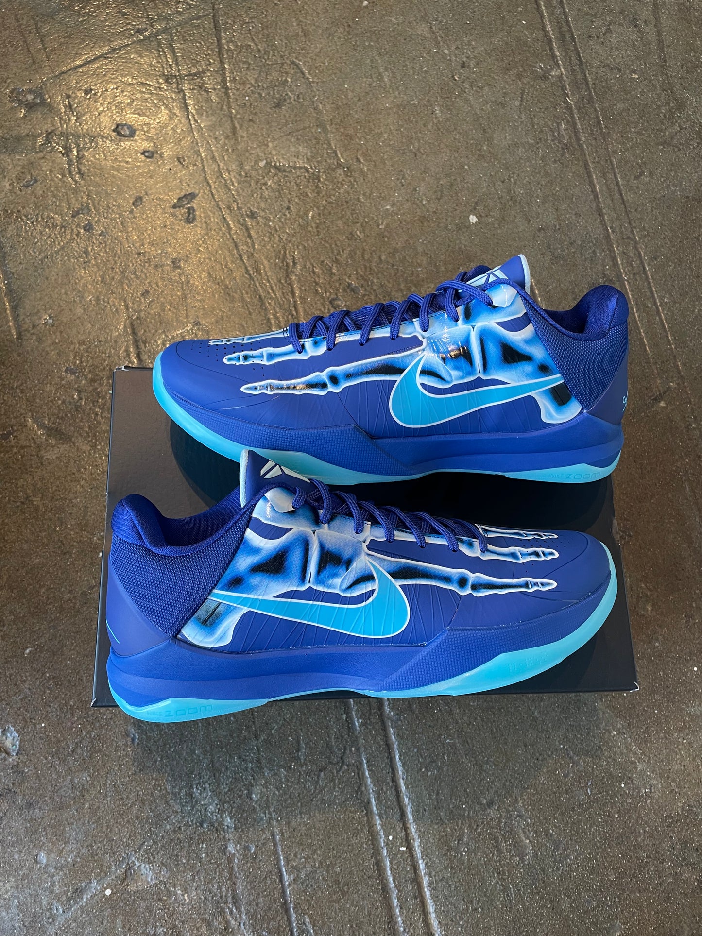 Kobe 5 X Ray (13) Brand New