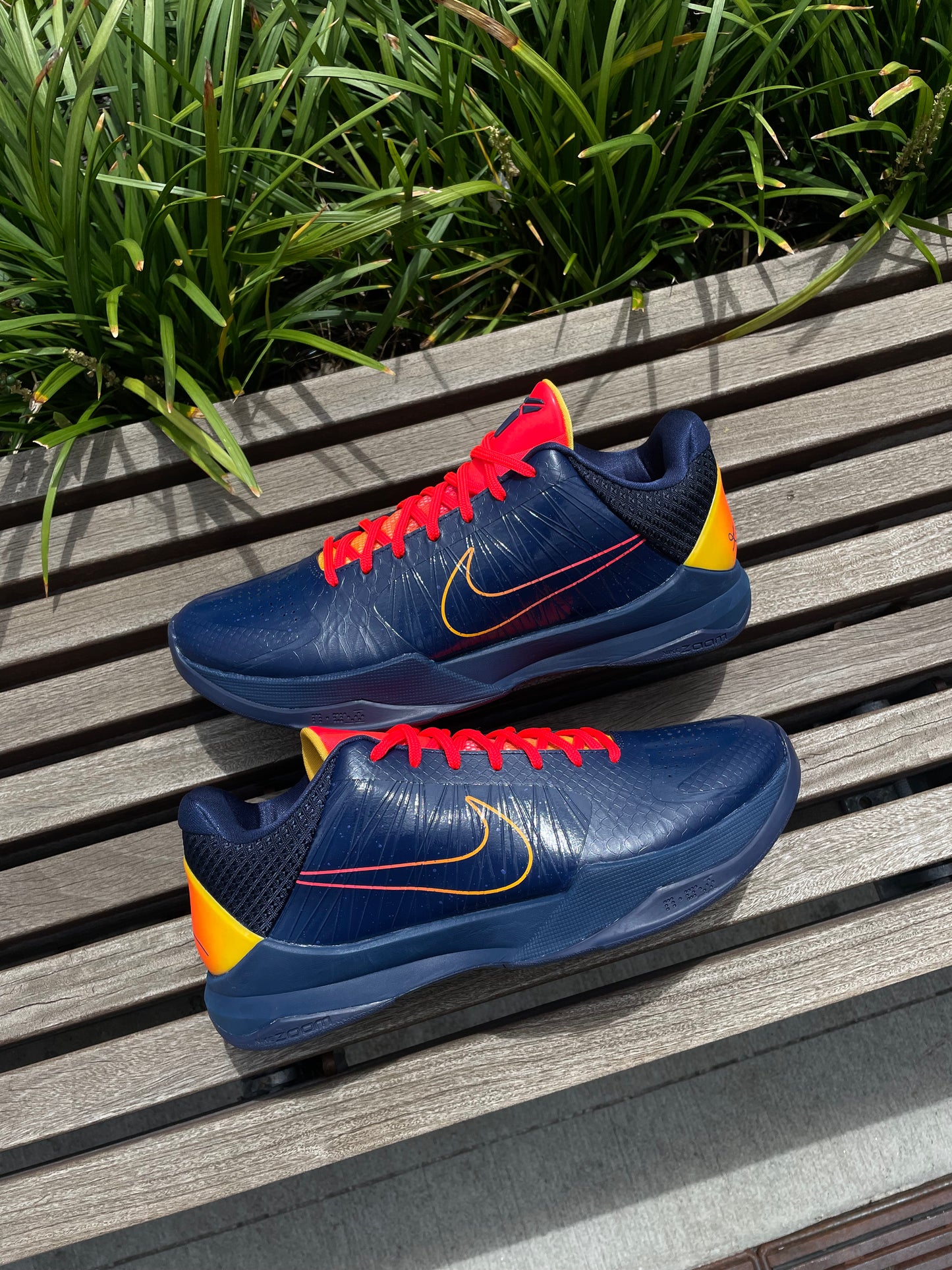 Kobe 5 Caitlyn Clark (10.5) Brand New