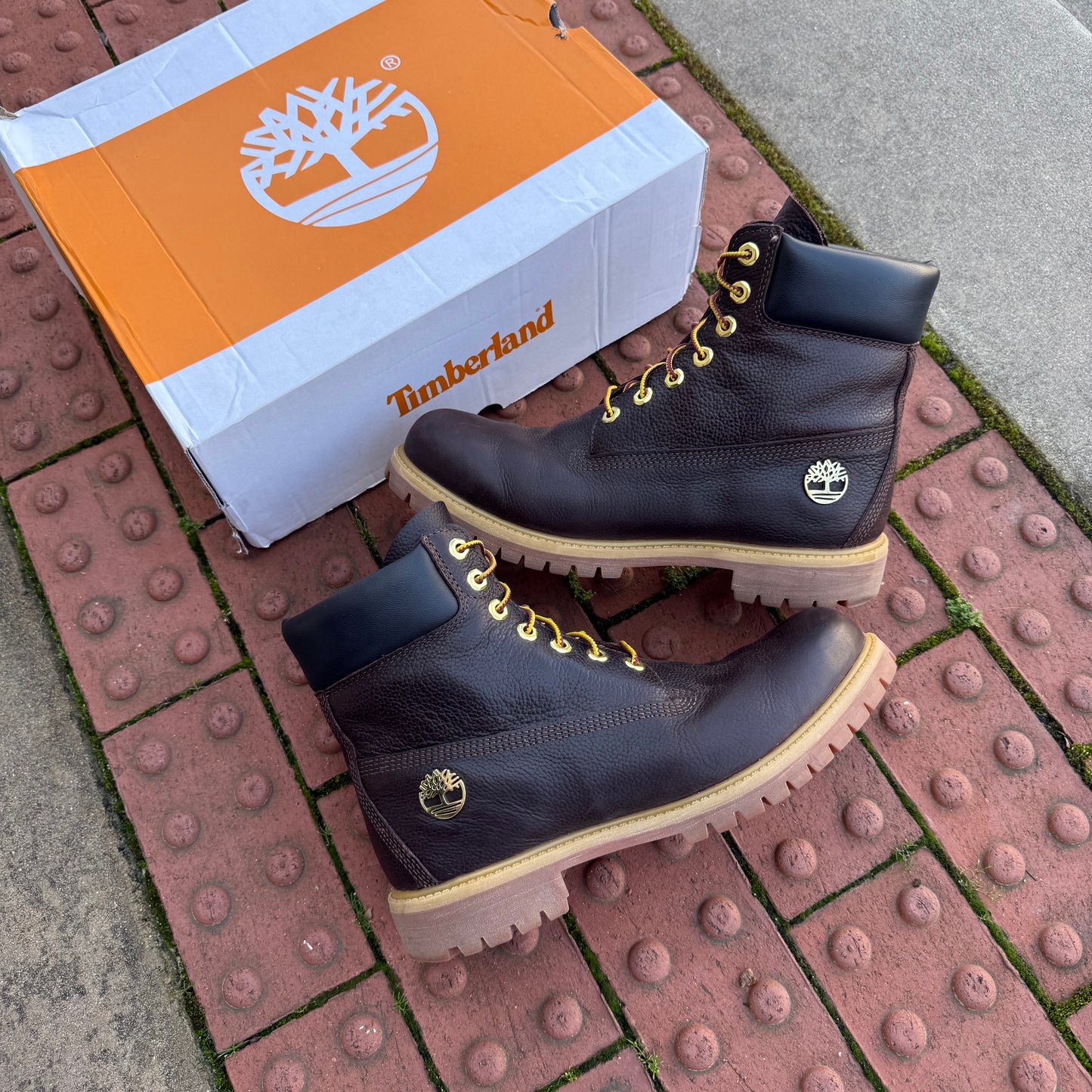 Timberland 6” Leather Boot (9.5)