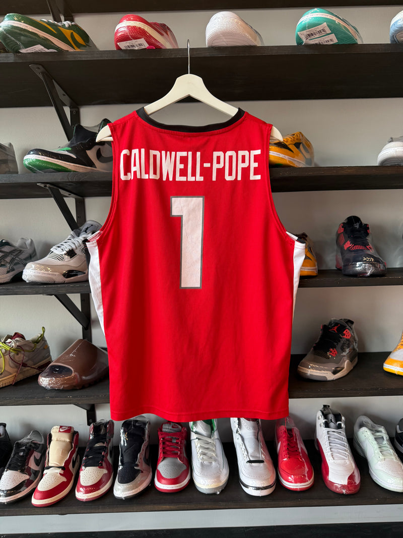 Caldwell-Pope UGA Basketball Jersey (L)