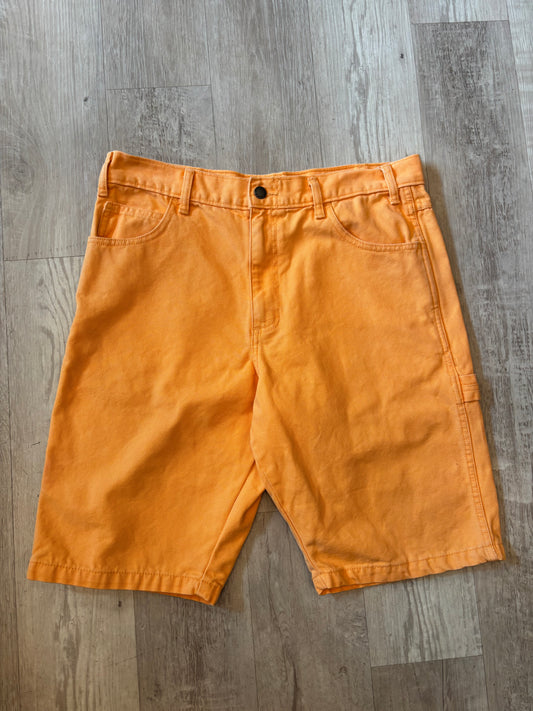 Dickies Shorts (34)