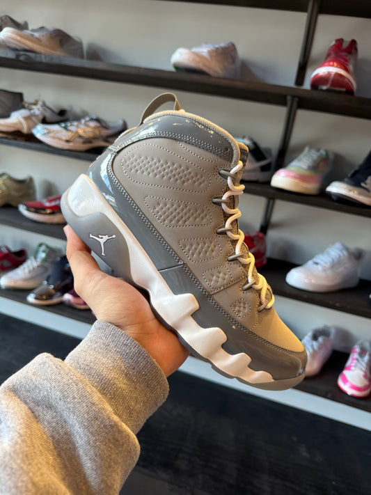 Jordan 9 Cool Grey (9)