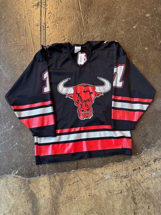 Vtg The Rock hockey jersey (L)