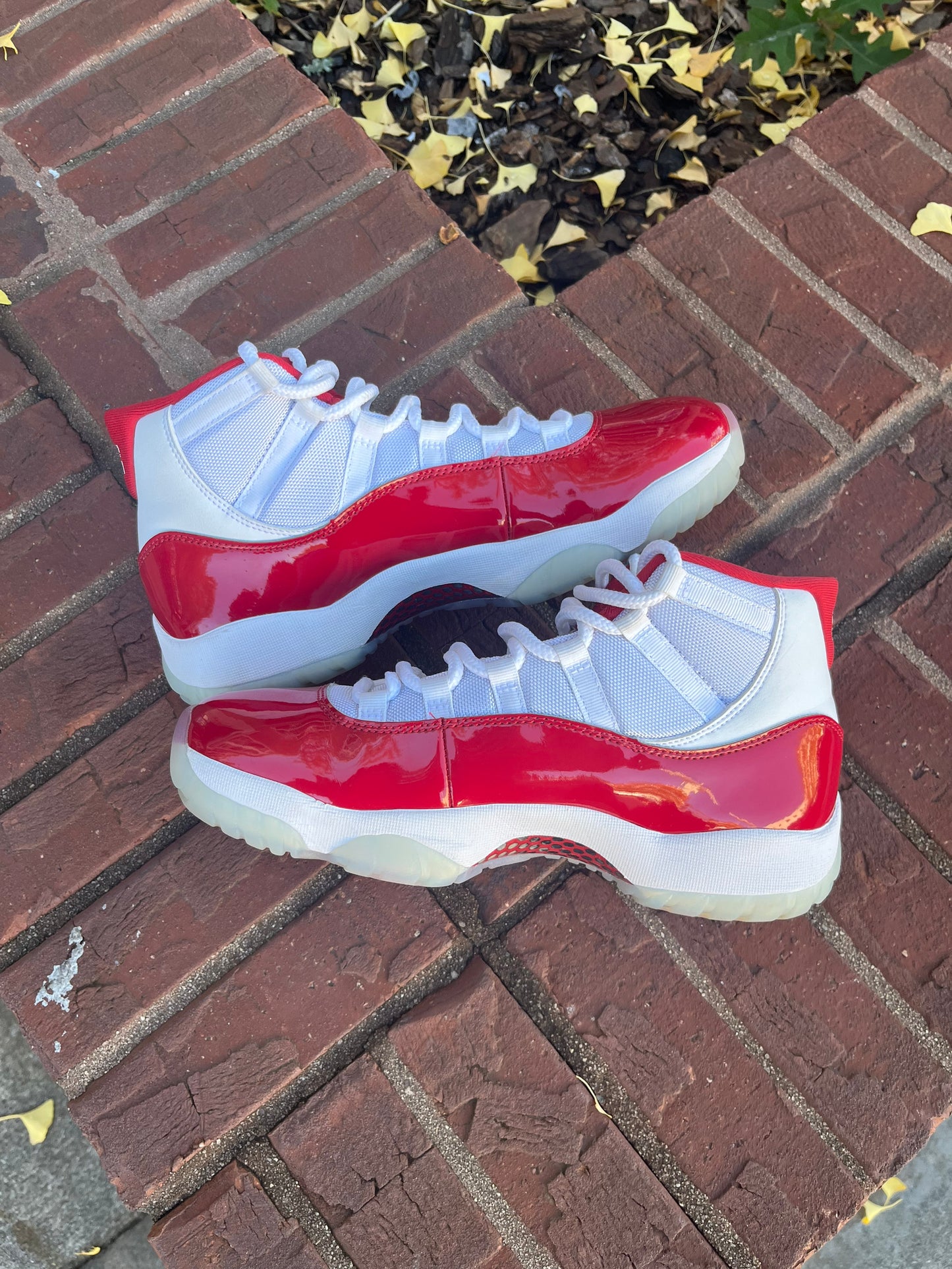 SOTD AJ11 Cherry (9.5) No Box