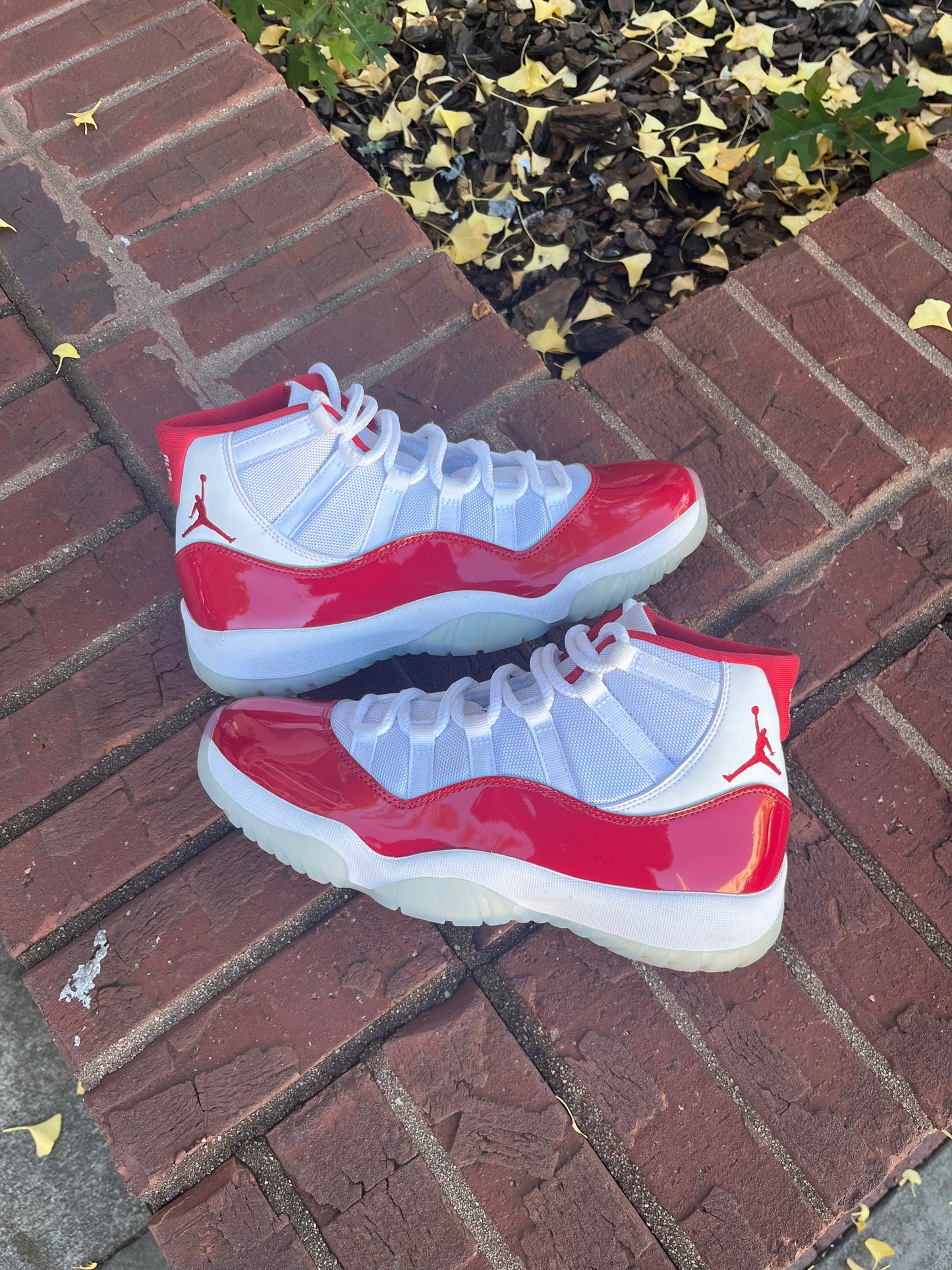 SOTD AJ11 Cherry (9.5) No Box