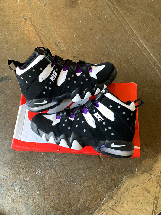 Air Barkley 2 (10.5) Lightly Worn