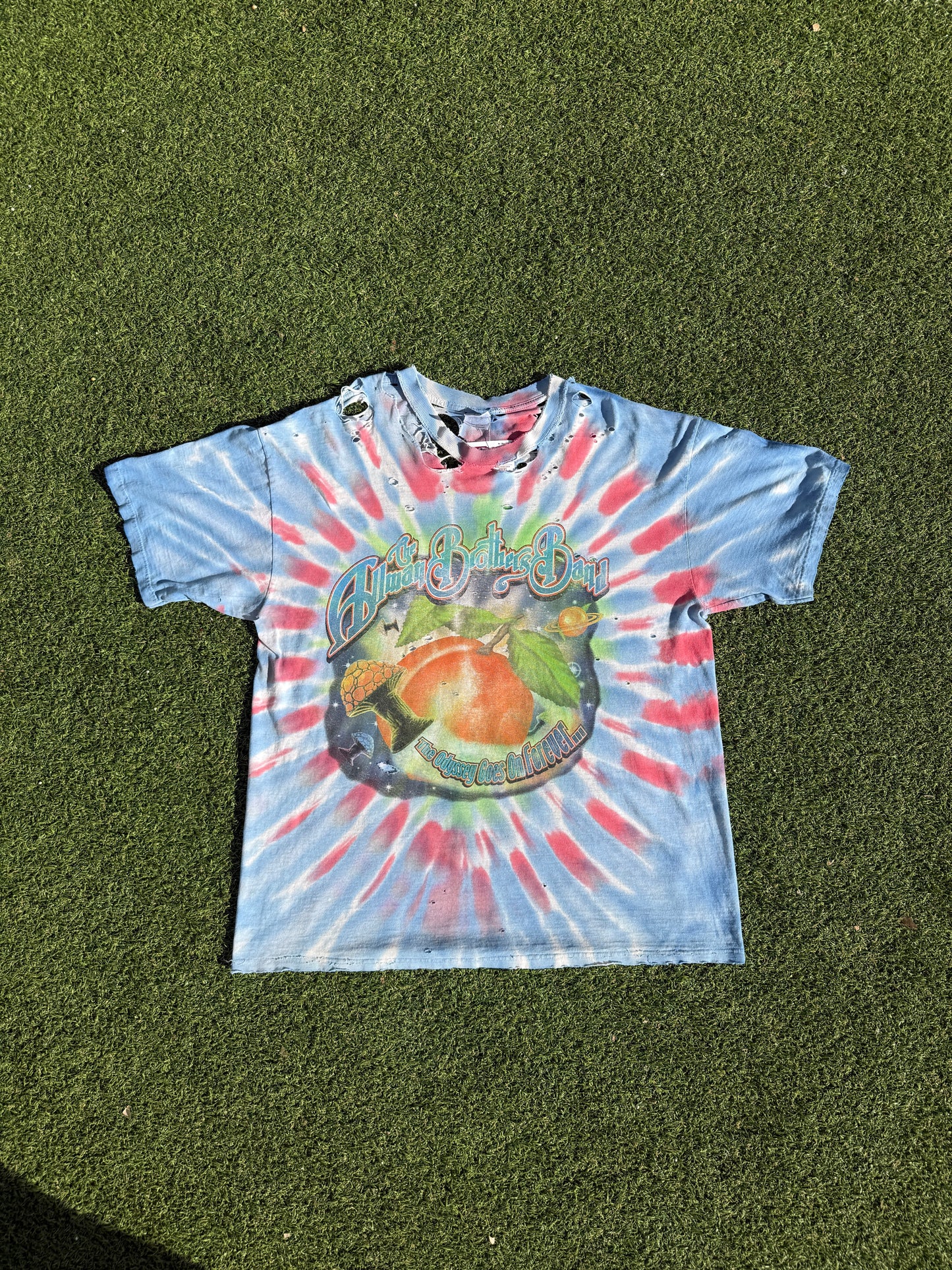 Vtg Allman Brothers Tee (XL)