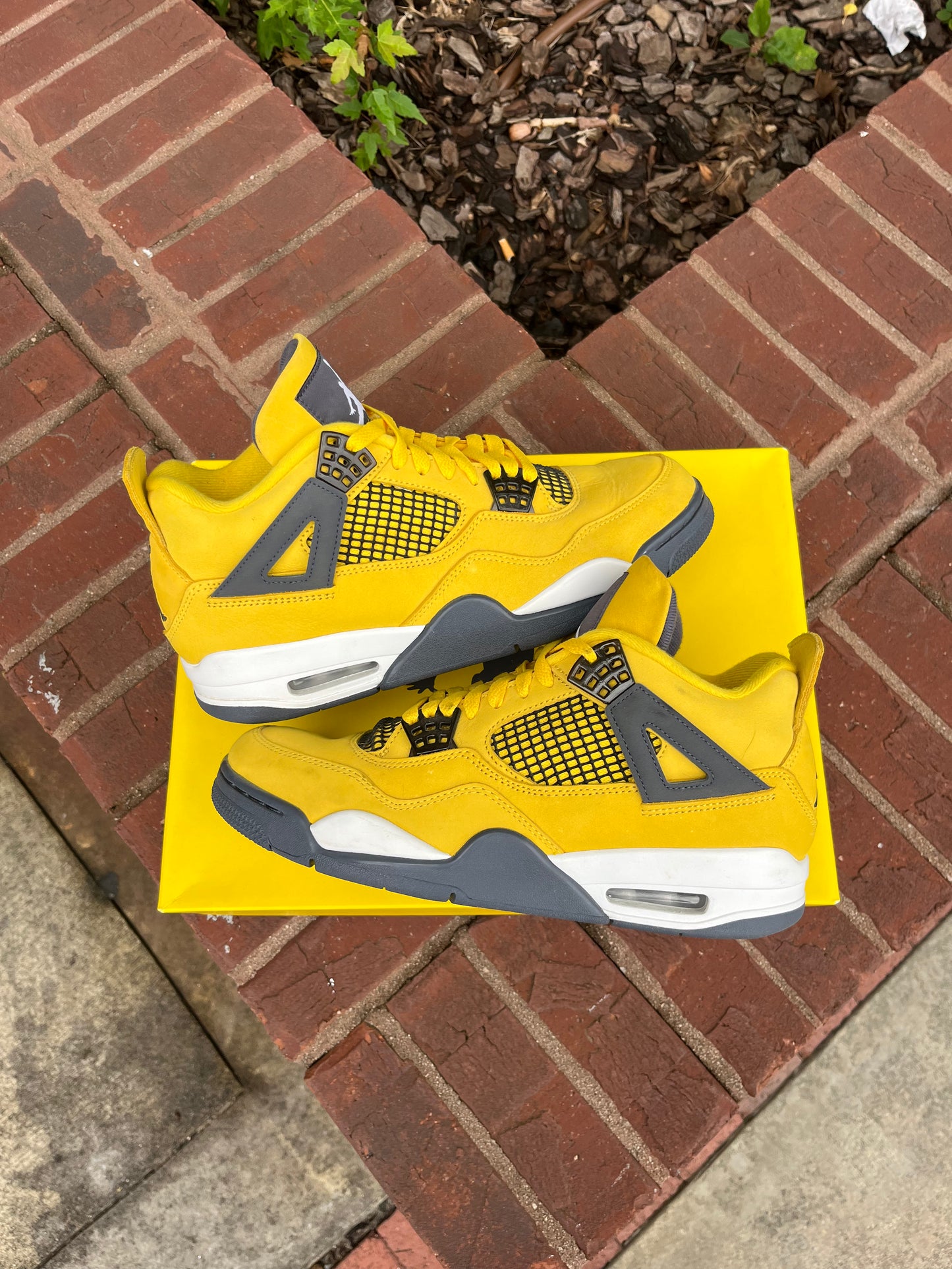 AJ4 Lightning (9.5)