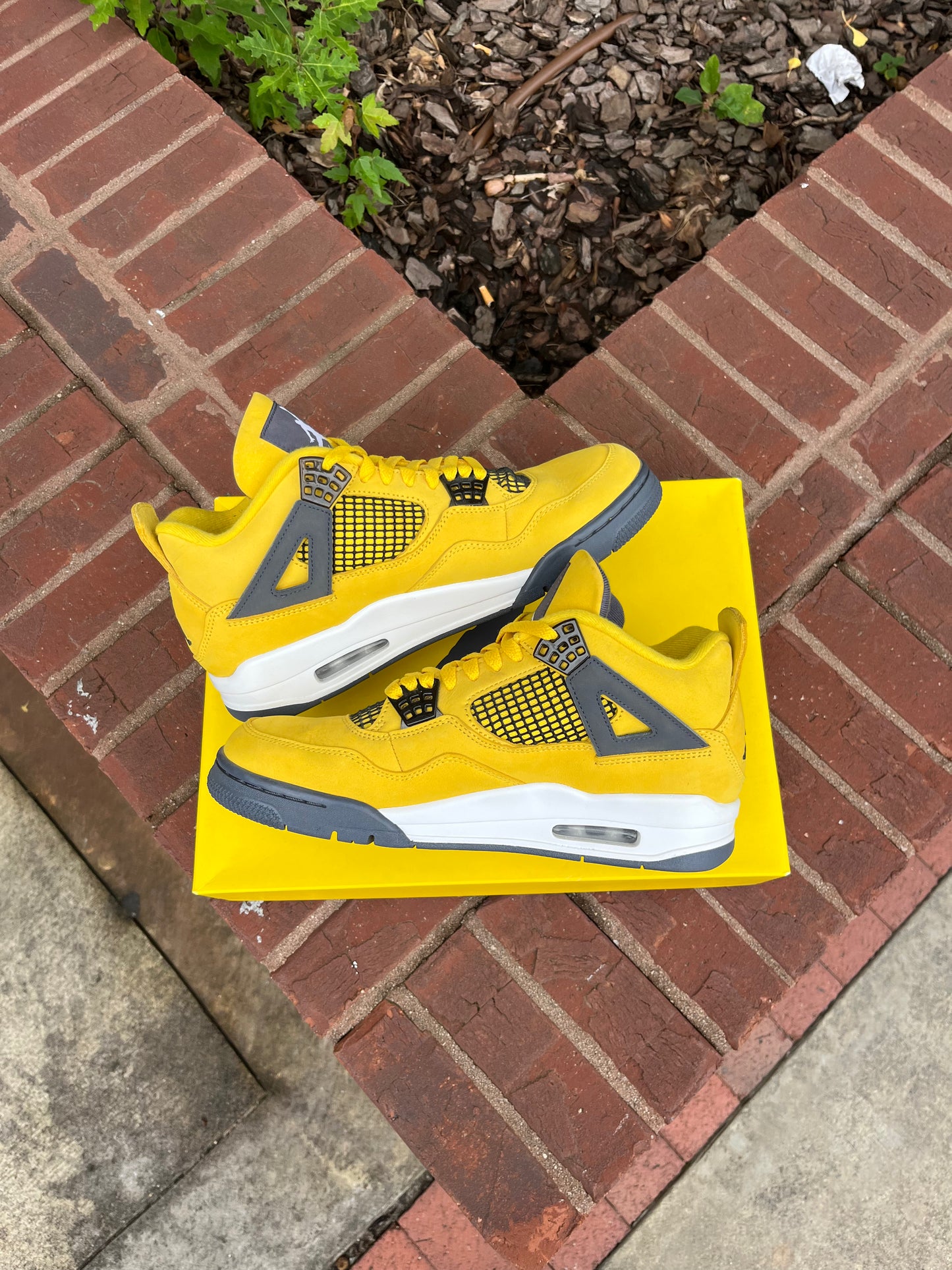 AJ4 Lightning (9.5)