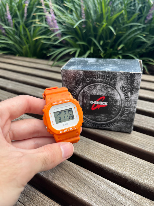 Casio G Shock DW-5600WS-4