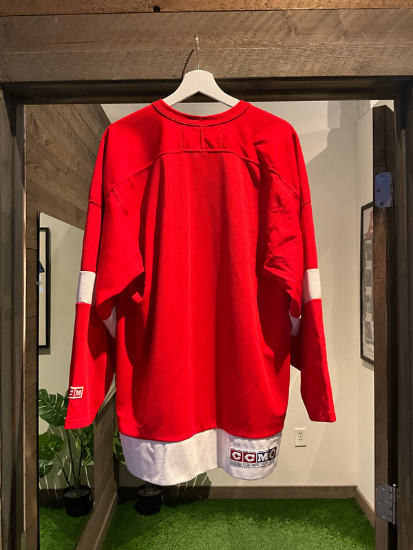 Vtg Red Wings Jersey (L) Worn